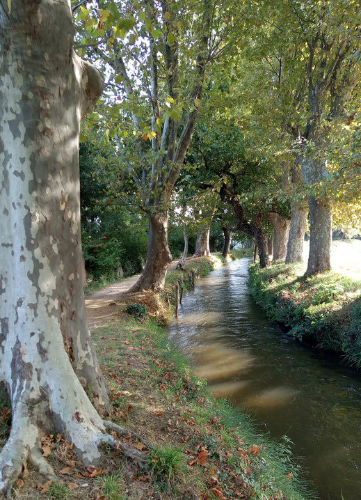  Marche de Randos Canétoises  Marche de Canohès vers Thuir le long du canal de Perpignan - 18 sept 2018