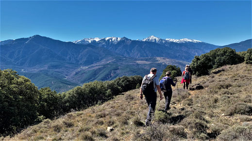 Randos Canétoises : Niveau 3 Villefranche de Conflent   Pla d'Aussa  - 15 mars 2019