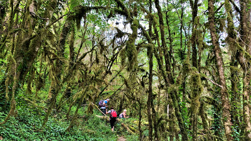 Randos Canétoises : Niveau 2 Corsavy et la forêt de lichens - 4 juin 2019