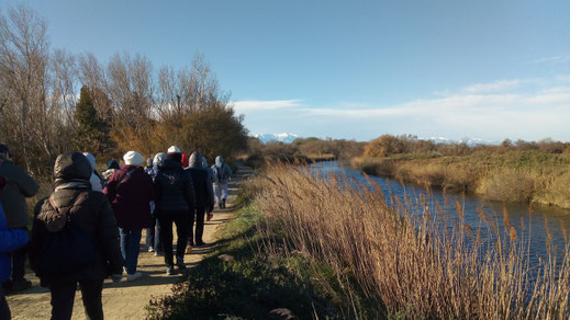 Randos Canétoises: marche à Sainte Marie du parking central à l'embouchure du Bourdigou  le 22 janvier 2019