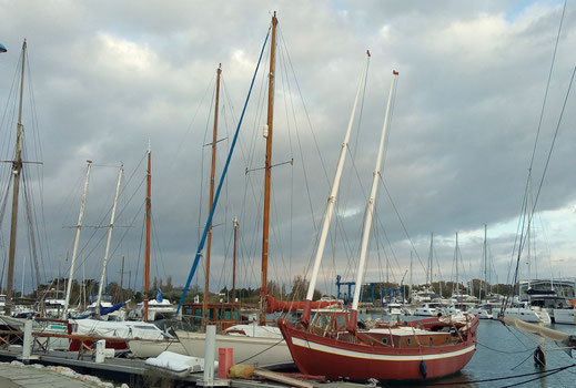  Marche de Randos Canétoises - Canet  le port le baladoir jusqu'à Canet sud- 20 novembre 2018