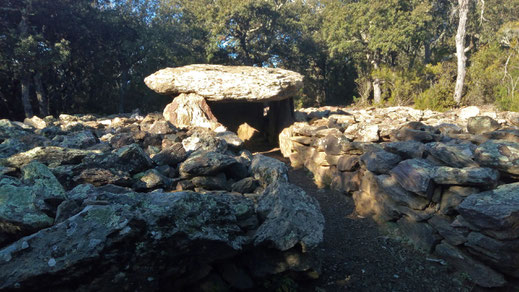 Randos Canétoises: Niveau 1 Casefabre Dolmen du col de la Llose le 21 novembre 2019