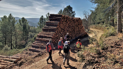 Randos Canétoises: Niveau 2 à Maisons dans l'Aude , circuit des mines le 5 mars 2019