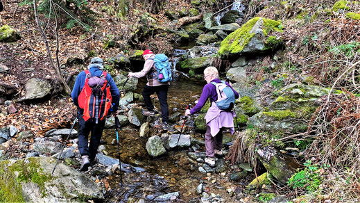 Randos Canétoises : Niveau 3 Escaro Aytua la vallée des loups col de Fins et Bailloubére le 13 mars 2020