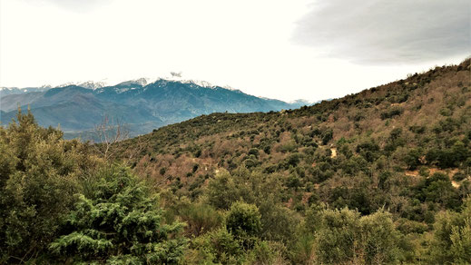 Randos Canétoises : Niveau 2 Eus et la chapelle Ste Eulalie le 10 mars 2020