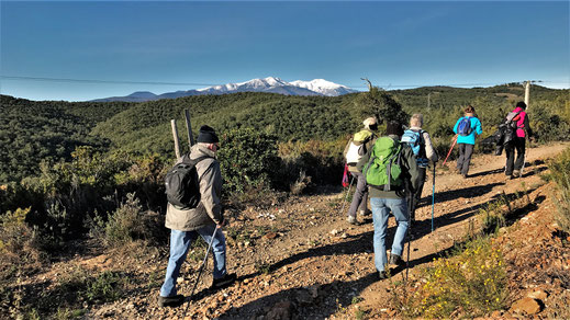 Rando plaisir le 09 novembre à Vives