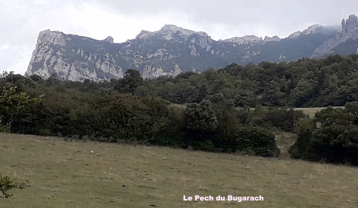 Randos Canétoises en rando Niveau2  Caudiès , le chemin du facteur  le 18 sept 2018