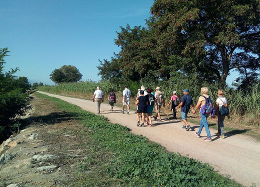 Randos Canétoises: marche sur les bords de l'Agly de Claira à la chapelle de Juhègues le 1 octobre 2019