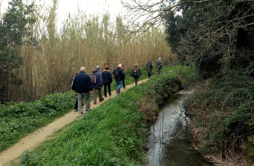 Randos Canétoises: marche Canet Ravin de la Vignasse arboretum Canal du Moulin   - 25 février 2020