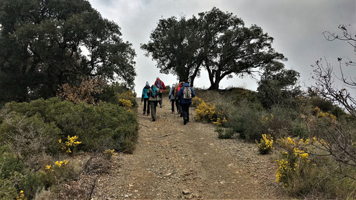 Randos Canétoises: Niveau 1 De Rigarda à l'hermitage Domanova le 25 janvier 2019