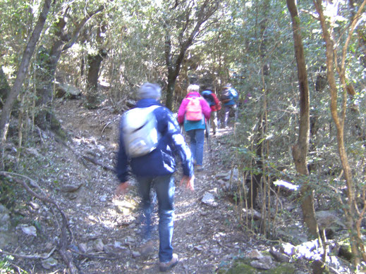 Randos Canétoises: Niveau 2 De Baillestavy au col de Palomère le 26 mars 2019