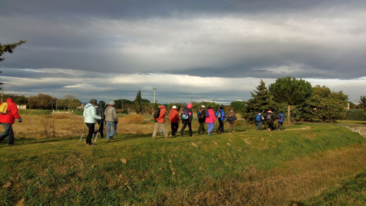 Randos Canétoises: marche à Saint Cyprien sud et parc de la Prade  le 08 janvier 2019