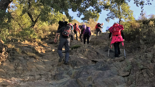 Rando découverte à Palau Saverda vers San Pere de Rodes le 7 novemebre 2017