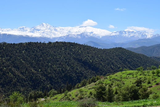 Habitat atlasique, région du Toukal, Haut Atlas central, 2018, ©Frédérique Courtin 