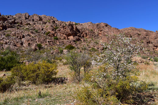 Habitat presaharien, région de Tafraoute, Anti-Atlas sud-occidental, 2018, ©Frédérique Courtin 