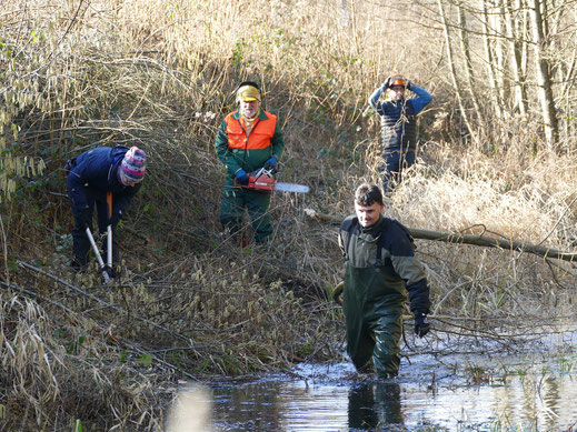 Voller Einsatz, sogar im Wasser.