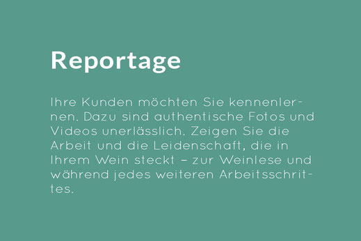 Ihre Kunden möchten Sie kennenlernen. Dazu sind authentische Fotos und Videos unerlässlich. Zeigen Sie die Arbeit und die Leidenschaft, die in Ihrem Wein steckt – zur Weinlese und während jedes weiteren Arbeitsschrittes.
