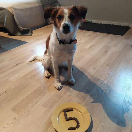 5 Jahre alt