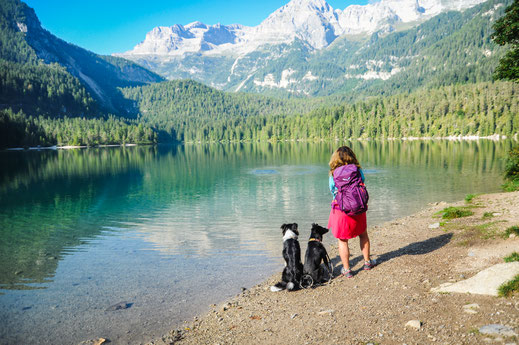 Lago Tovel mit Hund - Trentino mit Hund