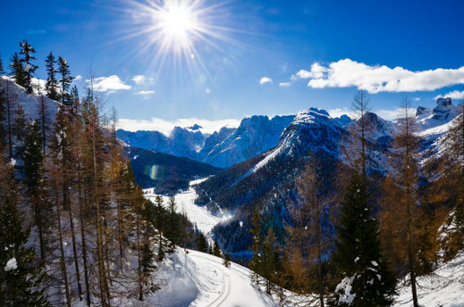 Wandern mit Hund in den Dolomiten, Monte Piana