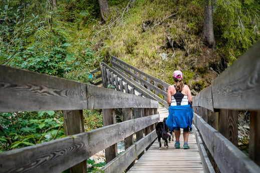Wandern mit Hund in Sterzing; Gilfenklamm mit Hund