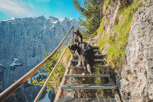 Wandern mit Hund in Südtirol, Sorapis See - Dolomiten