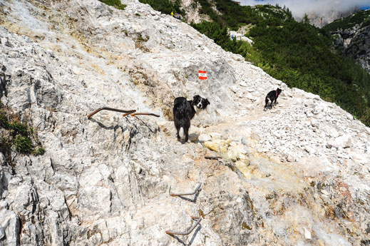 Wandern mit Hund in den Dolomiten zur Berti Hütte