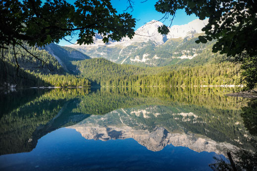 Lago Tovel mit Hund - Trentino mit Hund