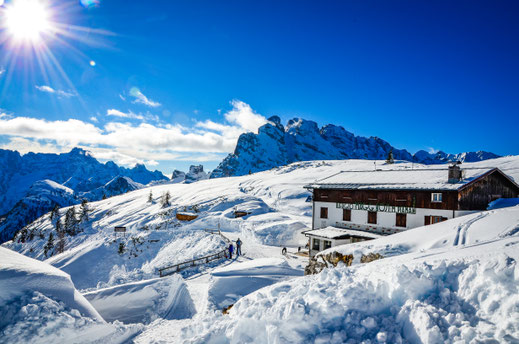 Wandern mit Hund im den Dolomiten - Monte Piana