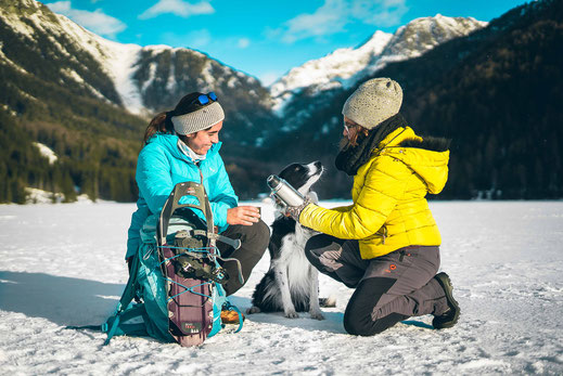  Wandern mit Hund in Südtirol, Antholzer See im Winter