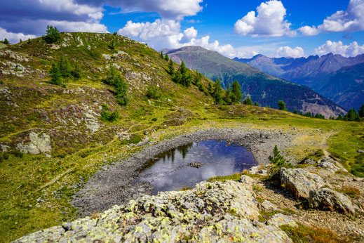 Wandern mit Hund in Österreich