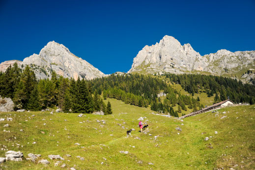 Lago Tovel mit Hund - Trentino mit Hund