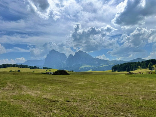 Wandern mit Hund im den Dolomiten - Übernachtung mit Hund auf der Seiser Alm