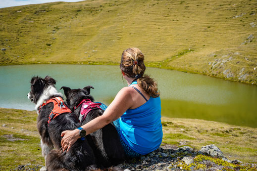 Wandern mit Hund in Österreich, Sillian, Thurntaler