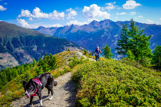 Wandern mit Hund in Österreich, Sillian, Thurntaler