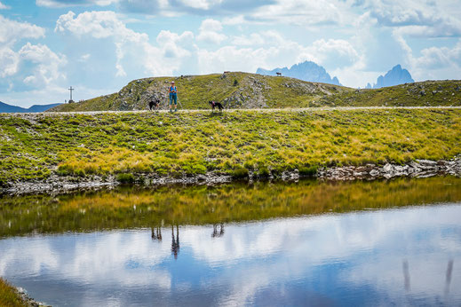 Wandern mit Hund in Österreich, Sillian, Thurntaler