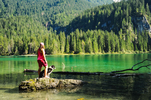 Lago Tovel mit Hund - Trentino mit Hund