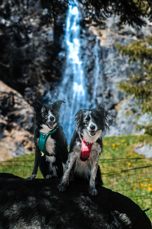  Wandern mit Hund in Südtirol, Der Partschinser Wasserfall