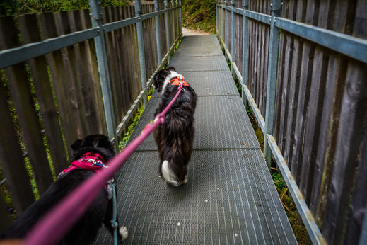 Wandern mit Hund in Sterzing; Gilfenklamm mit Hund