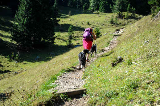 Lago Tovel mit Hund - Trentino mit Hund