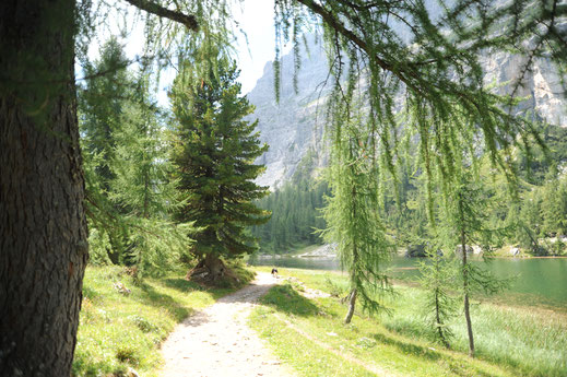 Wandern mit Hund in den Dolomiten zum Federa See (Lago Feder)