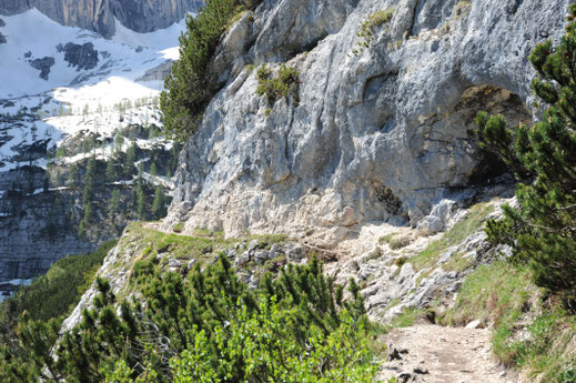 Wandern mit Hund in den Dolomiten - Sorapis See mit Hund