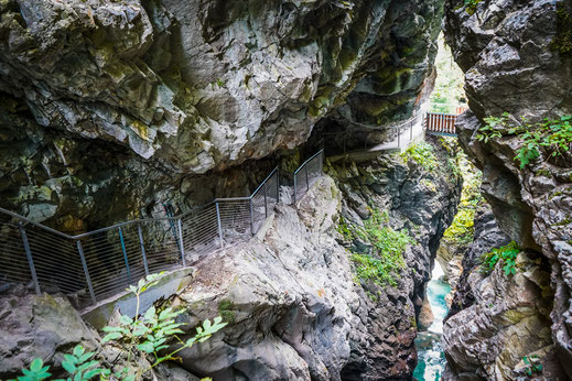 Wandern mit Hund in Sterzing; Gilfenklamm mit Hund