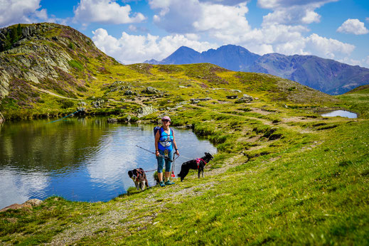 Wandern mit Hund in Österreich, Sillian, Thurntaler