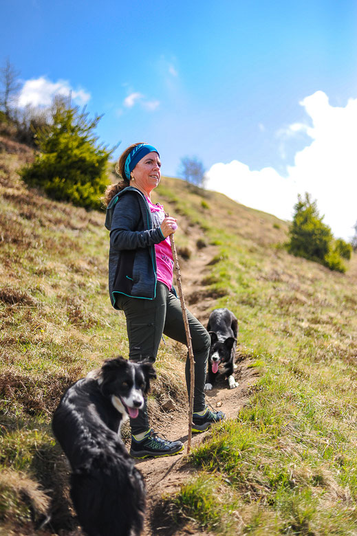  Wandern mit Hund in Südtirol, eine einfache Gipfelwanderung  zum Saun und zur Pranter Alm bei Sterzing