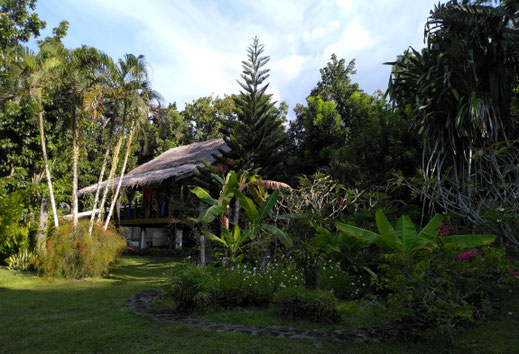 Nypa Style Resort Camiguin, Camiguin, Philippines, Resort, vacation in the Philippines, travel, holidays, bungalows, nature, forest, jungle