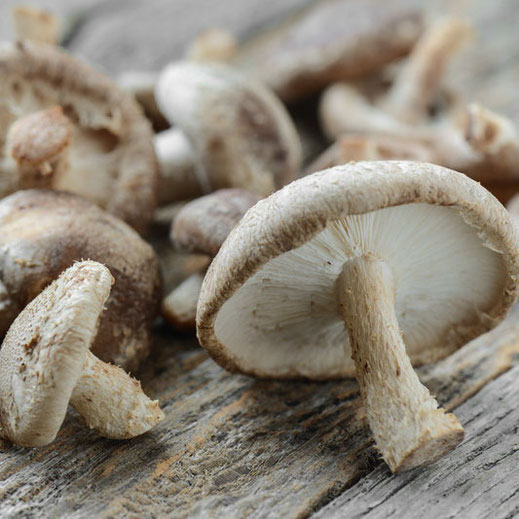 Radiant Reality Blog | 5 Powerhouse Medicinal Mushrooms For Radiant Health | Shitake