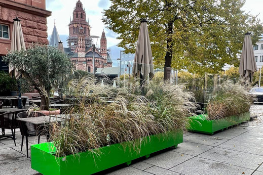 Kreative Terrassengestaltung mit Windschutz-Pflanzkästen in Sonderlackierung mit Sitzbank und Pflanzen in der Innensctadt