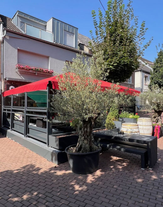 Windschutz mit Sonnenschirm auf einem Podest vor einem Restaurant
