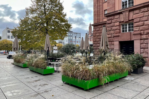 Große Terrasse mit vielen Pflanzen und Windschutzanlage
